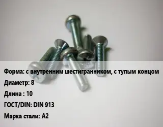 Винт с внутренним шестигранником, с тупым концом 8х10 DIN 913 Сталь: А2